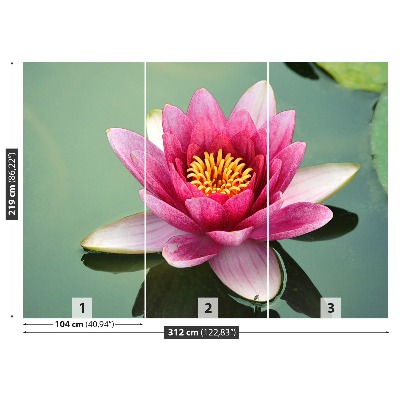 Wallpaper Lotus flower