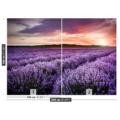 Wallpaper Lavender field