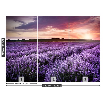 Wallpaper Lavender field