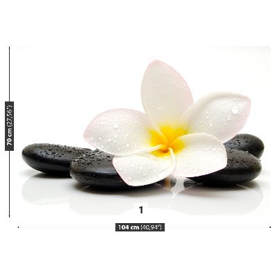 Wallpaper Plumeria stones