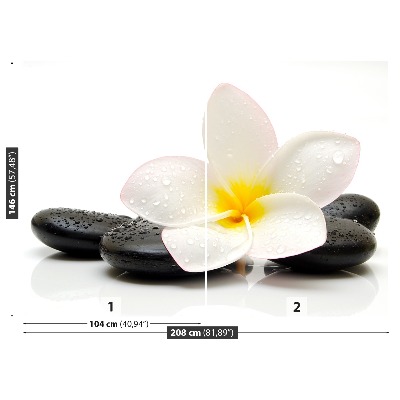 Wallpaper Plumeria stones