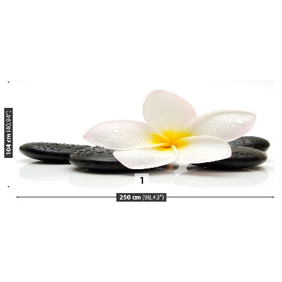 Wallpaper Plumeria stones