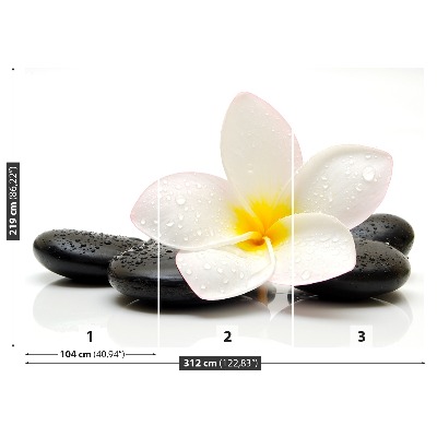 Wallpaper Plumeria stones