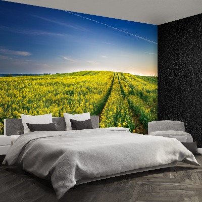 Wallpaper Rape fields