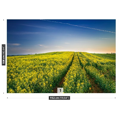 Wallpaper Rape fields