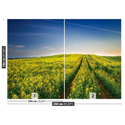 Wallpaper Rape fields