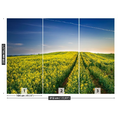 Wallpaper Rape fields