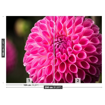 Wallpaper Dahlia pink