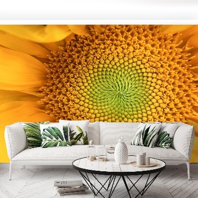 Wallpaper Sunflower