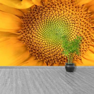 Wallpaper Sunflower