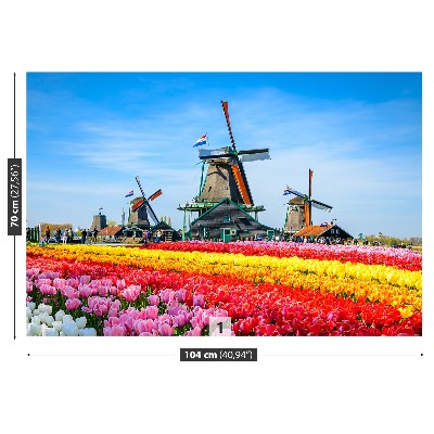 Wallpaper Tulips windmills