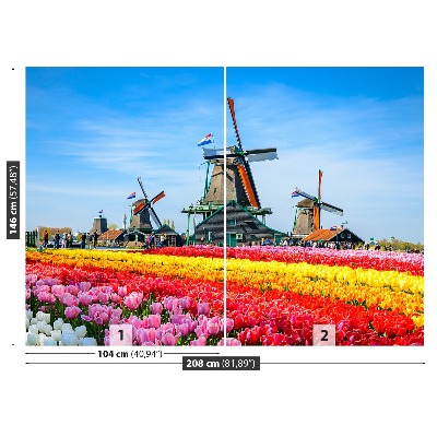 Wallpaper Tulips windmills