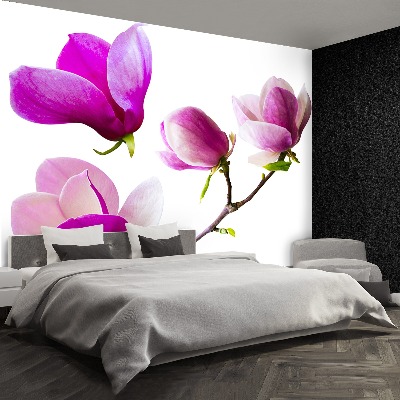 Wallpaper Magnolia flowers