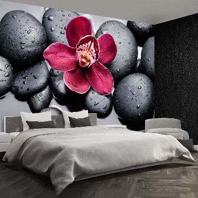 Wallpaper Orchid stones