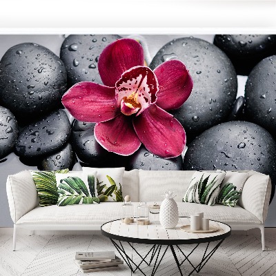 Wallpaper Orchid stones