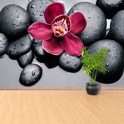 Wallpaper Orchid stones