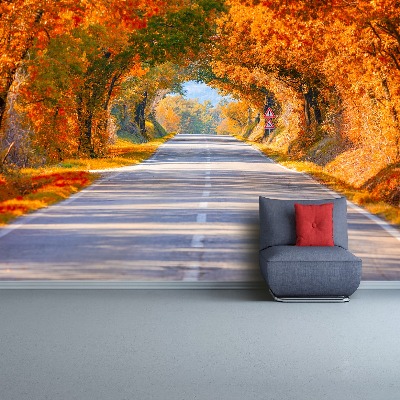 Wallpaper Road in the autumn