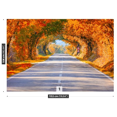 Wallpaper Road in the autumn