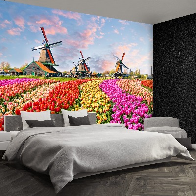 Wallpaper Tulips windmills