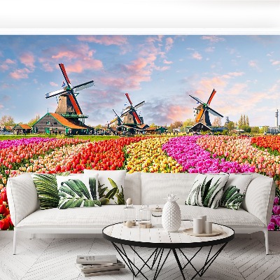 Wallpaper Tulips windmills