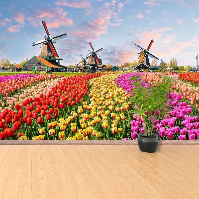 Wallpaper Tulips windmills