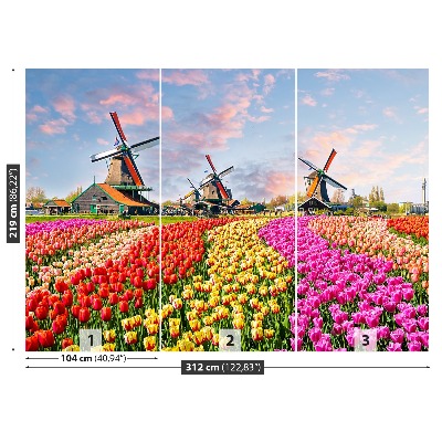 Wallpaper Tulips windmills