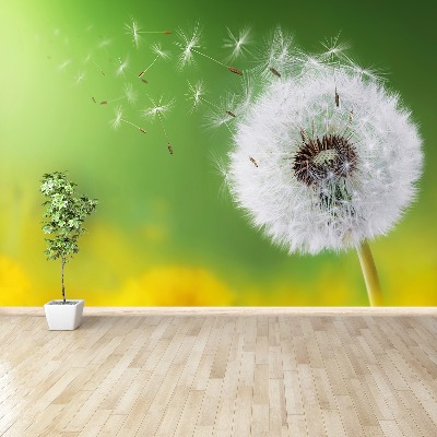 Wallpaper Dandelion