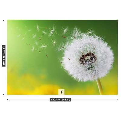 Wallpaper Dandelion