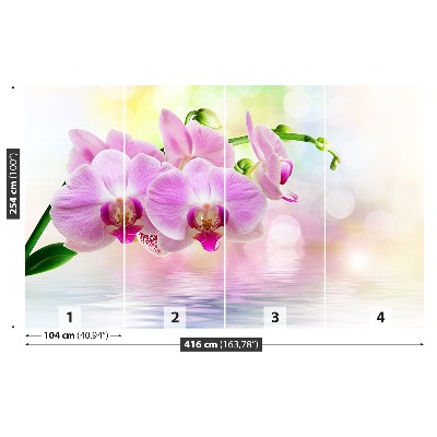 Wallpaper Orchid roses