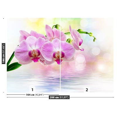 Wallpaper Orchid roses