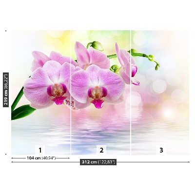 Wallpaper Orchid roses