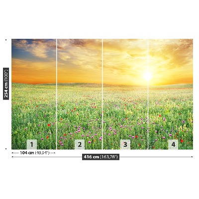 Wallpaper Spring meadow