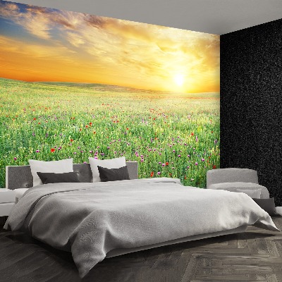 Wallpaper Spring meadow