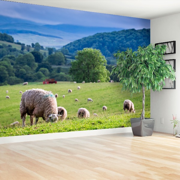 Wallpaper Flock of sheep