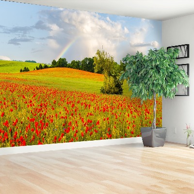 Wallpaper Rainbow of poppies