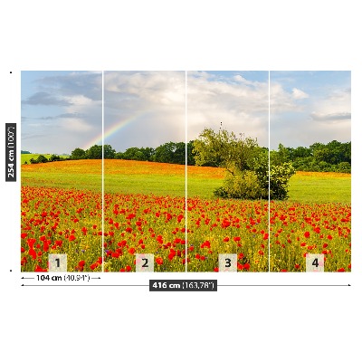 Wallpaper Rainbow of poppies