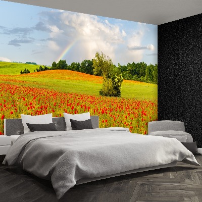 Wallpaper Rainbow of poppies