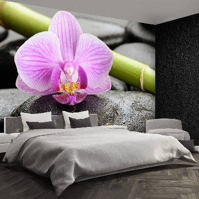 Wallpaper Orchid stones