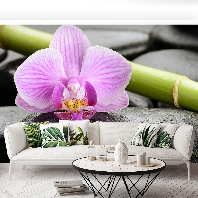 Wallpaper Orchid stones