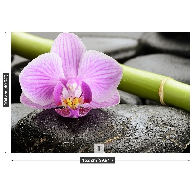 Wallpaper Orchid stones