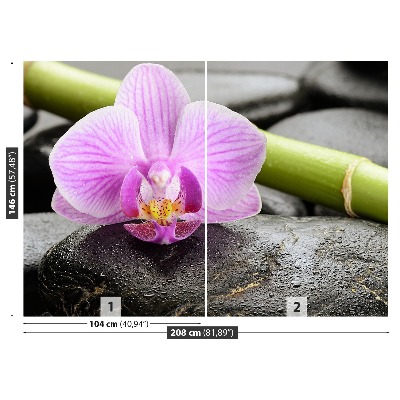 Wallpaper Orchid stones