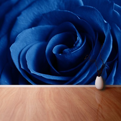 Wallpaper Blue rose