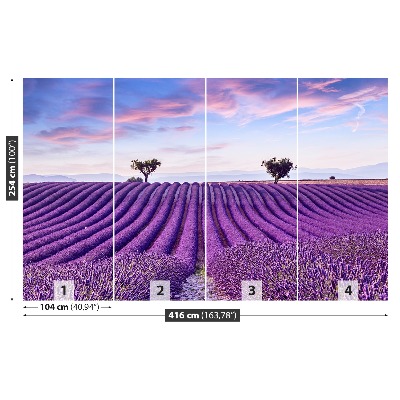 Wallpaper Lavender field