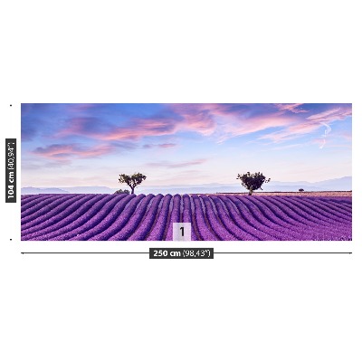 Wallpaper Lavender field