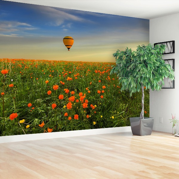 Wallpaper Meadow balloon