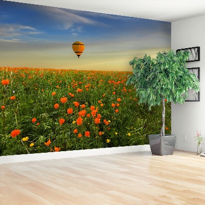 Wallpaper Meadow balloon