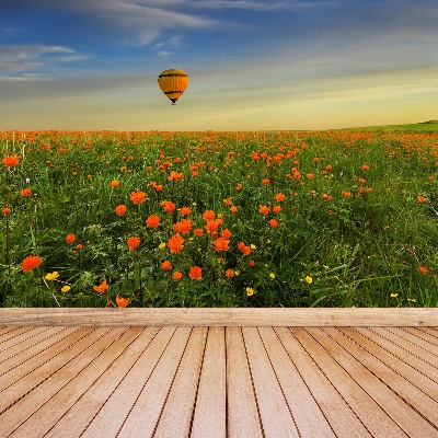 Wallpaper Meadow balloon