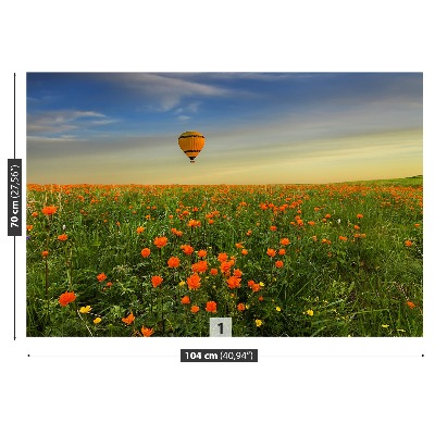 Wallpaper Meadow balloon