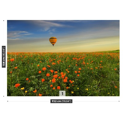 Wallpaper Meadow balloon