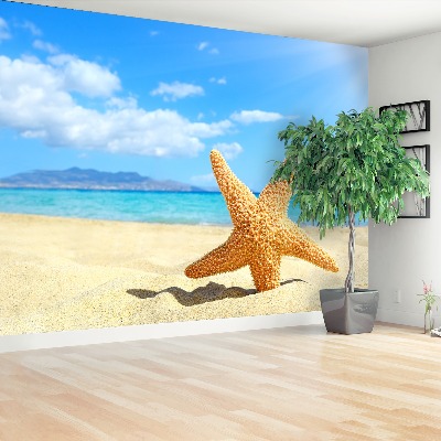 Wallpaper Starfish. Beach